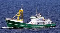 Швидкісний постачальник (FSV) для продажу