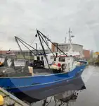 Живий носій риби на продаж