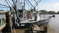Trawler на продаж