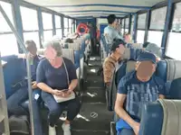 Амфібія на продаж