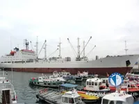 Рефрижераторне судно для продажу