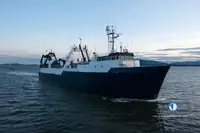 Тральник для продажу