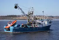 Тральник із ставними сітками для продажу