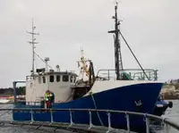 Trawler на продаж