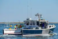 Тральник із ставними сітками для продажу
