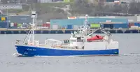 Purse seiner на продаж