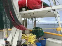 Тральник для продажу