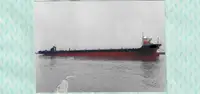 Вантажний вантажний корабель на продаж