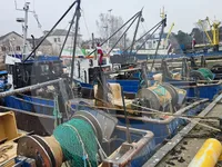 Судно для перевезення живої риби для продажу