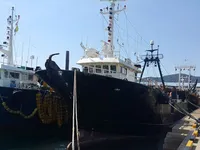 Тральник для продажу