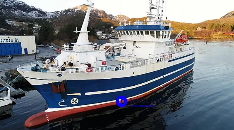 Судно для вилову риби довгими сітками для продажу