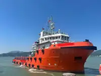 Буксир-постачальник для якорної обробки (AHTS) для продажу