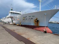 Судно для вилову риби довгими сітками для продажу