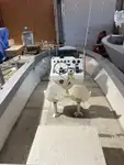Робочі човни для продажу