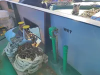 Контейнеровоз для продажу