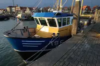 Тральник для продажу
