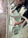Робочі човни для продажу
