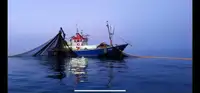 Trawler на продаж
