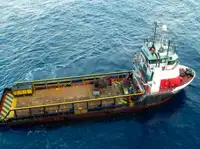 Швидкісний постачальник (FSV) для продажу