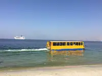 Амфібія на продаж