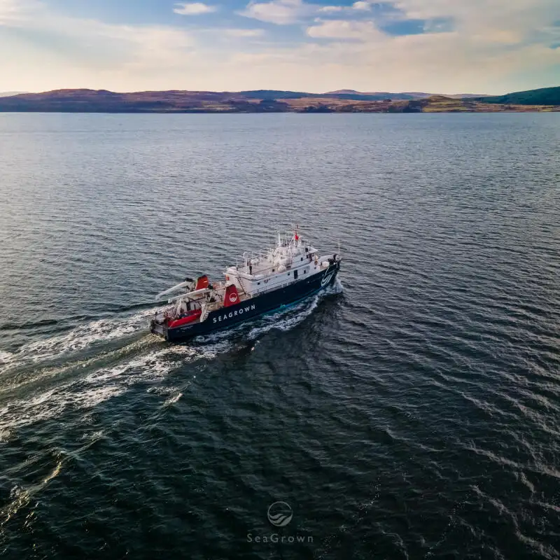 Оглядове судно на продаж