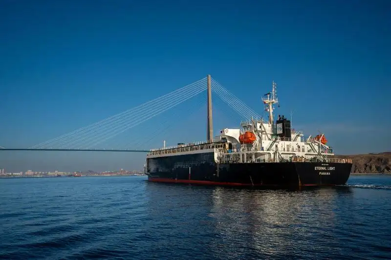Корабель RORO на продаж