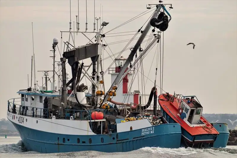 сейнер на продаж