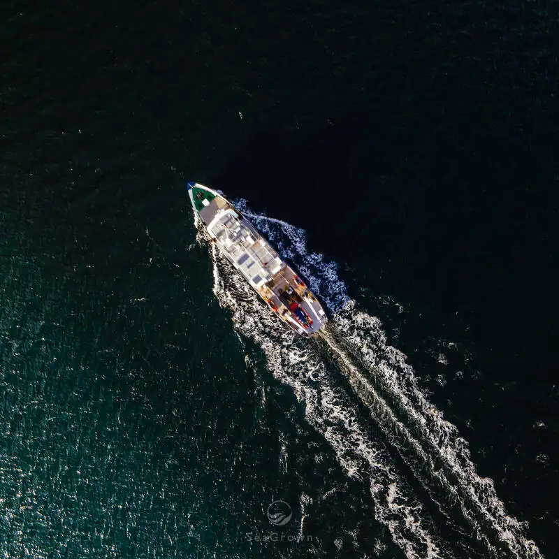 Оглядове судно на продаж