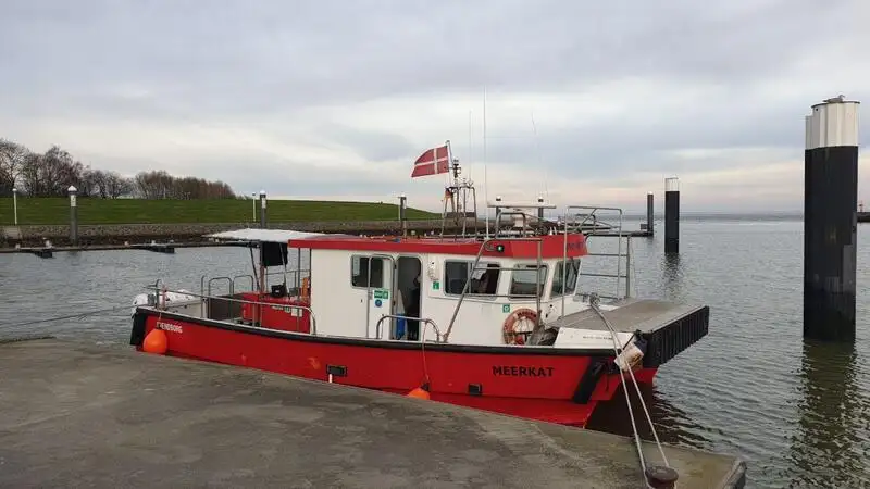 Катамаран на продаж