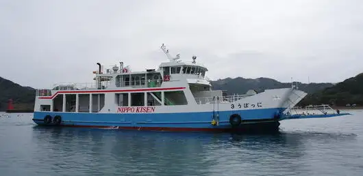 Корабель RORO на продаж