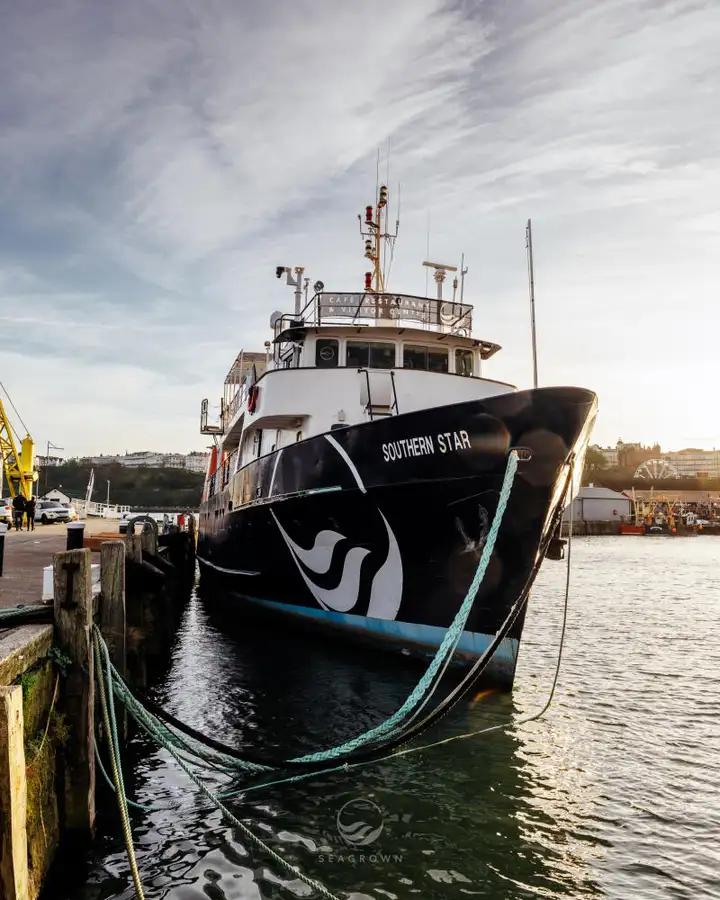 Оглядове судно на продаж