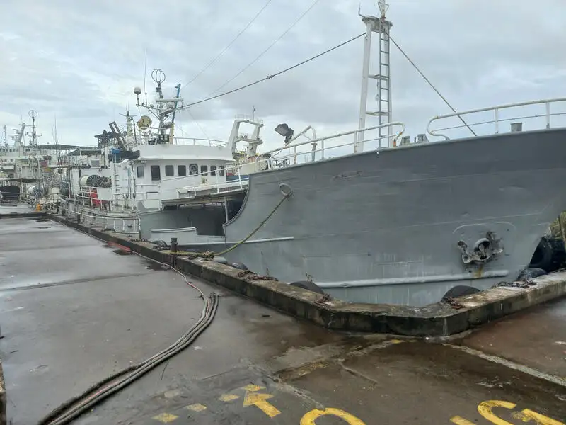 Ярусне судно на продаж