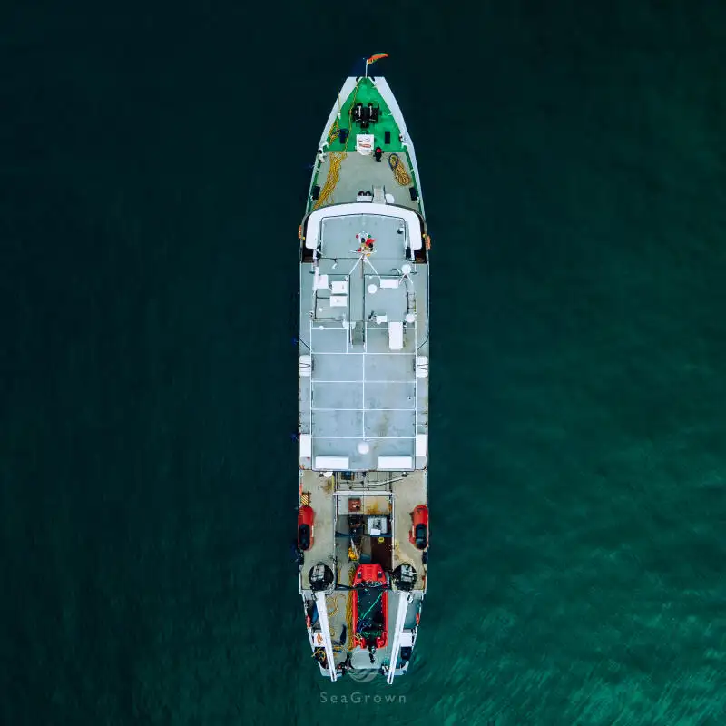 Оглядове судно на продаж