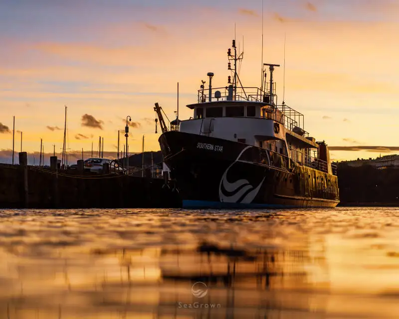 Оглядове судно на продаж