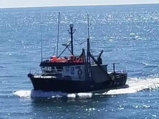 Ярусне судно на продаж