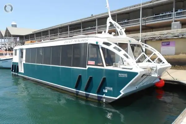 Catamaran for sale