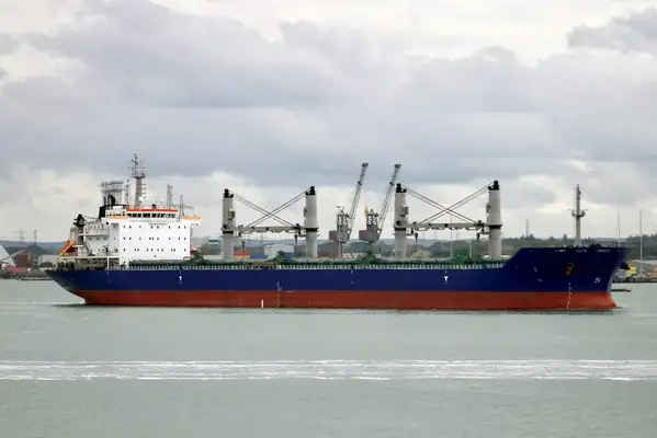 Bulk carrier for sale