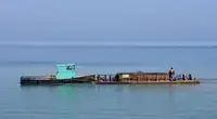 Робочі човни на продаж