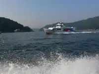 Поромне судно на продаж