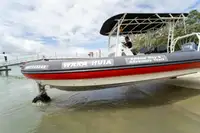 Амфібія на продаж
