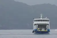 Корабель RORO на продаж
