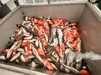 Рибальський траулер на продаж