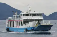 Корабель RORO на продаж