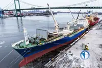 Рефрижераторний корабель на продаж