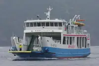 Корабель RORO на продаж