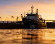 Оглядове судно на продаж