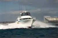 Робочі човни на продаж