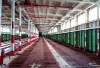 Корабель RORO на продаж